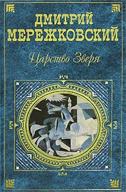 Дмитрий Мережковский 14 декабря обложка книги