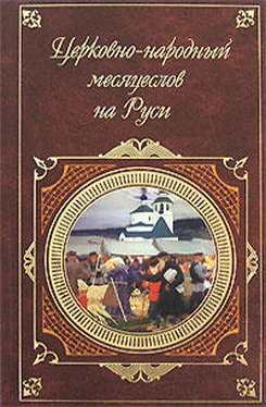 И. Калинский Церковно-народный месяцеслов на Руси обложка книги