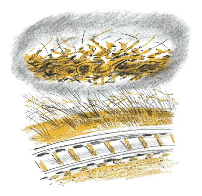 Вот это махина Мишка впервые увидел поезд не по телевизору и даже забыл о - фото 19