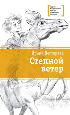 Ирина Дегтярева Степной ветер обложка книги