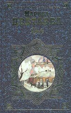 Марина Цветаева Проза (сборник) обложка книги