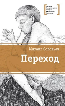 Михаил Соловьев Переход обложка книги