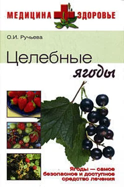 Оксана Ручьева Целебные ягоды обложка книги