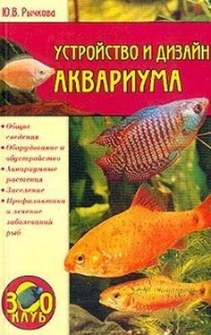 Юлия Рычкова Устройство и дизайн аквариума обложка книги