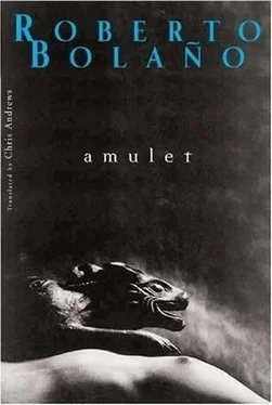 Roberto Bolaño Amulet обложка книги