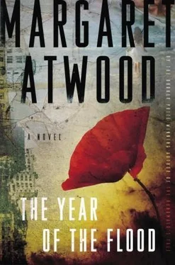 Margaret Atwood The Year of the Flood