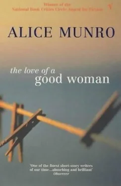 Alice Munro The Love Of A Good Woman обложка книги