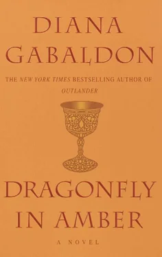 Diana Gabaldon Dragonfly In Amber обложка книги