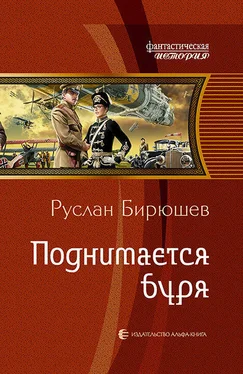 Руслан Бирюшев Поднимается буря обложка книги