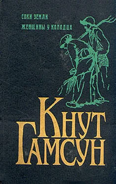 Кнут Гамсун Женщины у колодца обложка книги