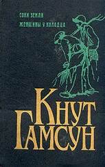 Кнут Гамсун - Женщины у колодца