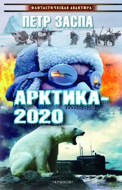 Петр Заспа Арктика-2020 обложка книги