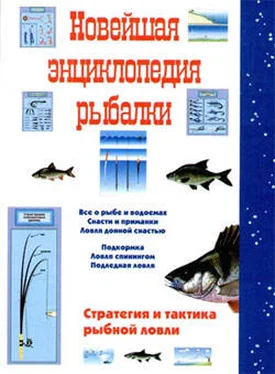 Сергей Сидоров Новейшая энциклопедия рыбалки обложка книги