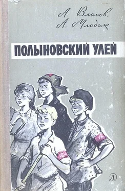 Александр Власов Полыновский улей обложка книги