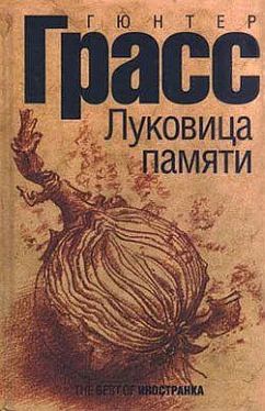 Гюнтер Грасс Луковица памяти обложка книги