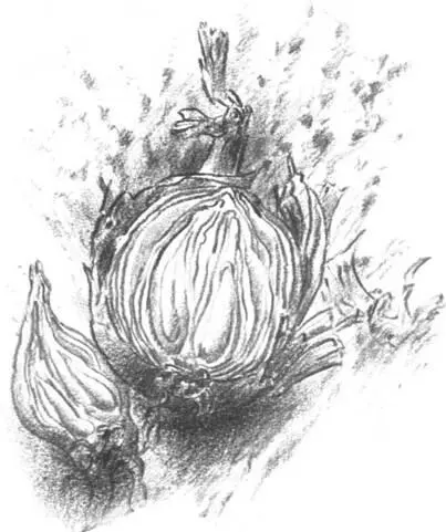 Поймал себя на том как перелистывая страницы и наталкиваясь на пробелы - фото 3