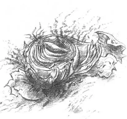 Припомнилось ли мне по дороге до Берлина мое первое путешествие в том же - фото 4