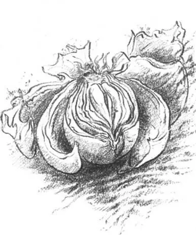 Когда жандарм сдал меня в мариенбадский госпиталь и я с высокой температурой - фото 5