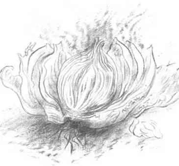 Перед ним с юности оставались бессильными и аскетизм мое самоограничение не - фото 7