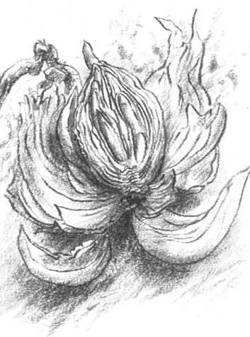 Кто в силу профессии вынужден годами эксплуатировать самого себя тот поневоле - фото 8