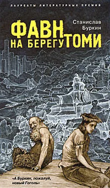 Станислав Буркин Фавн на берегу Томи обложка книги