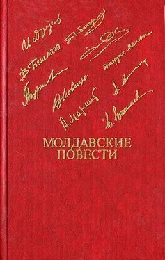 Джордже Менюк Диск обложка книги