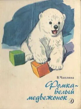 Вера Чаплина Фомка – белый медвежонок. Рассказы обложка книги