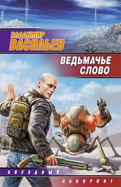 Владимир Васильев Ведьмачье слово (сборник) обложка книги