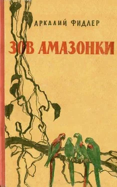 Аркадий Фидлер Зов Амазонки обложка книги