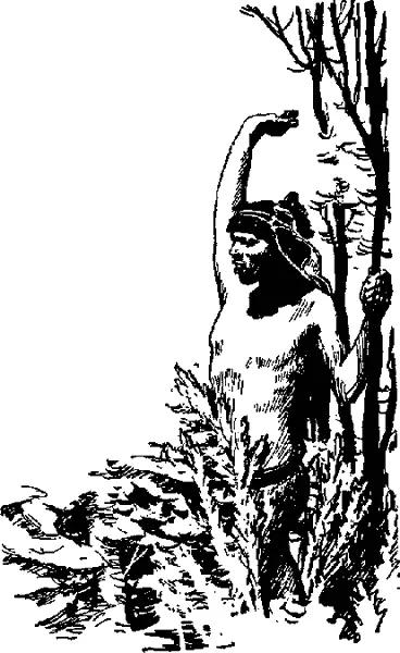 Я отпускаю Чикиньо Он долго стоит неподвижно затем стремительно несется но - фото 15