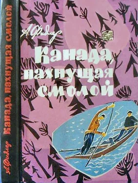 Аркадий Фидлер Канада, пахнущая смолой обложка книги