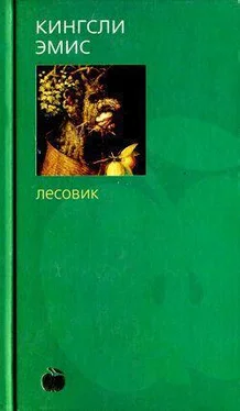 Кингсли Эмис Лесовик обложка книги