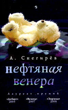 Александр Снегирев Нефтяная Венера обложка книги