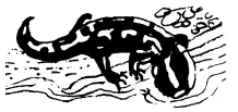 Саламандры не имеют перепонок между пальцами хотя некоторые из них живут в - фото 92