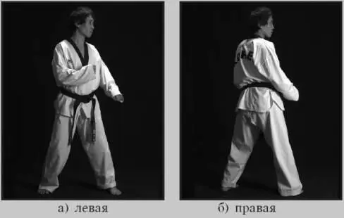 Рис 4111 Стойки в проекции на горизонтальную плоскость В биомеханическом - фото 32