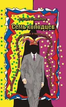 Дмитрий Стародубцев Семь колодцев обложка книги