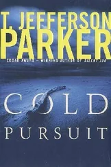 T. Parker - Cold Pursuit