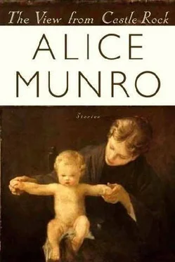 Alice Munro The View from Castle Rock обложка книги