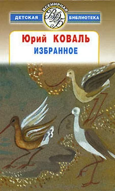 Юрий Коваль Избранное обложка книги