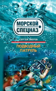 Сергей Зверев Подводный патруль обложка книги