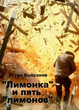 Игорь Волознев «Лимонка» и пять «лимонов» (СИ) обложка книги