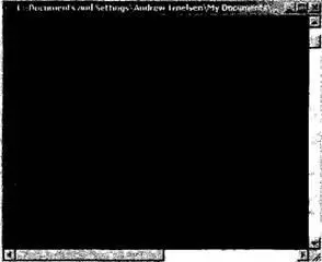 Рис 163 Информация о файлах с точечными изображениями Создание подкаталогов - фото 197
