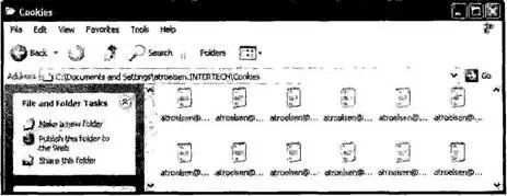 Рис 246 Данные cookie сохраненные браузером Microsoft Internet Explorer - фото 377