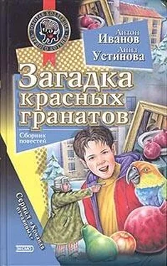 Антон Иванов Загадка красных гранатов обложка книги