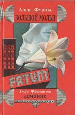 Ален-Фурнье Большой Мольн обложка книги