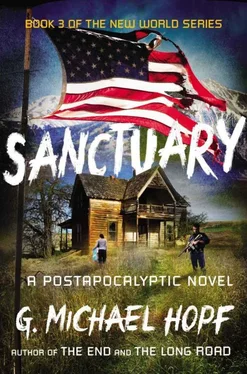 G Hopf Sanctuary обложка книги