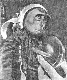 Этой обезьянке выпала честь быть первым космическим путешественником Одетая в - фото 46