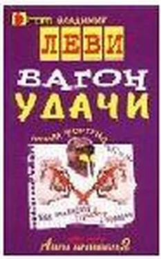 Владимир Леви Вагон удачи обложка книги