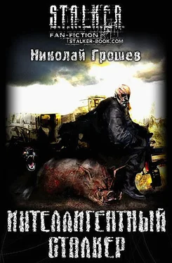 Николай Грошев Интеллигентный сталкер обложка книги