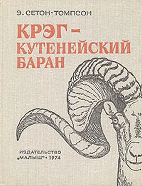 Эрнест Сетон-Томпсон Крэг - кутенейский баран обложка книги